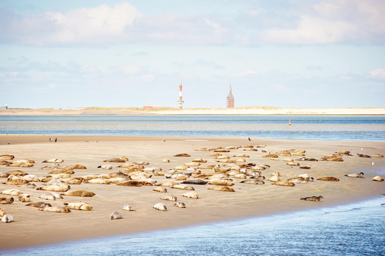 Jugendherberge Wangerooge Wangerooge Island Екстериор снимка